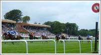Racing Ahead Newmarket